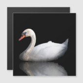 White swan on black (Front/Back)