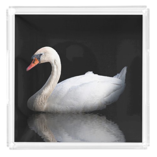 White swan on black acrylic tray