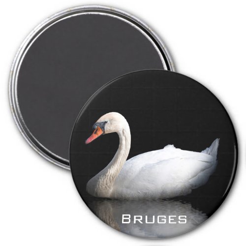 White swan on black magnet