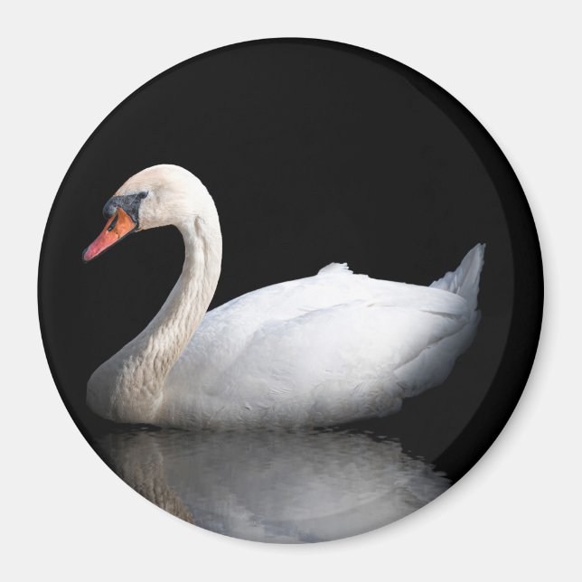 White swan on black magnet (Front)