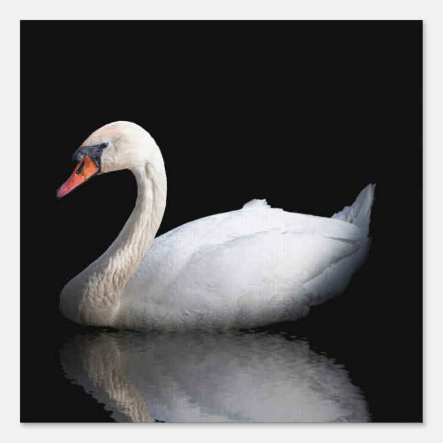 White swan on black sign (Front)