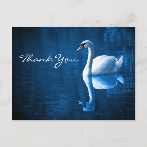 White Swan on Blue Waters Thank You Postcard