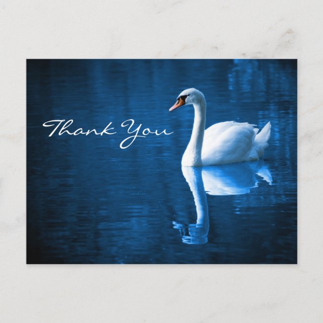 White Swan on Blue Waters Thank You Postcard (Front)