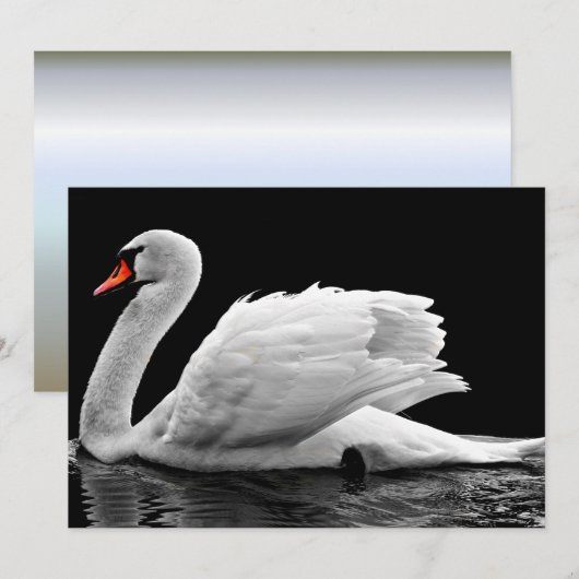 White Swan on Lake (Front/Back)