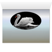 White Swan on Lake (Inside Horizontal (Bottom))