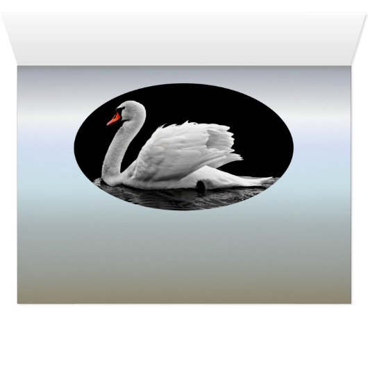 White Swan on Lake (Inside Horizontal (Bottom))