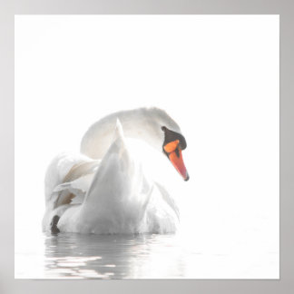 White Swan on Misty Water – Minimalist Wildlife Ph Poster