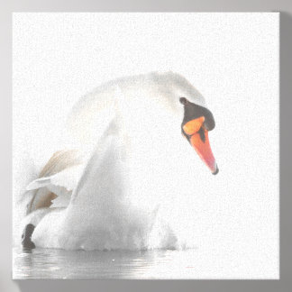 White Swan on Water Canvas Photo Tile