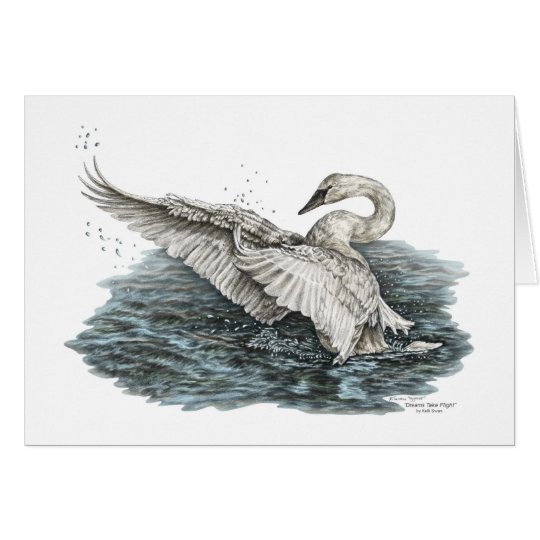 White Swan on Water Card