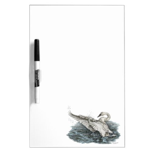 White Swan on Water Dry Erase Board