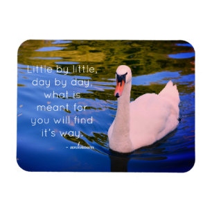 White Swan Photo with Motivational Quote Magnet