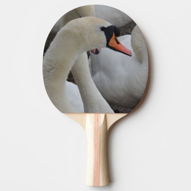 White Swan Ping Pong Paddle, Red Rubber Back Paddle (Front)
