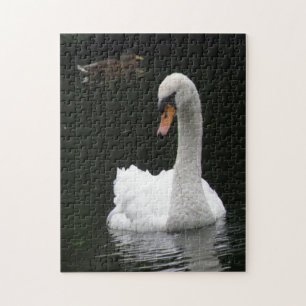 White Swan Puzzle
