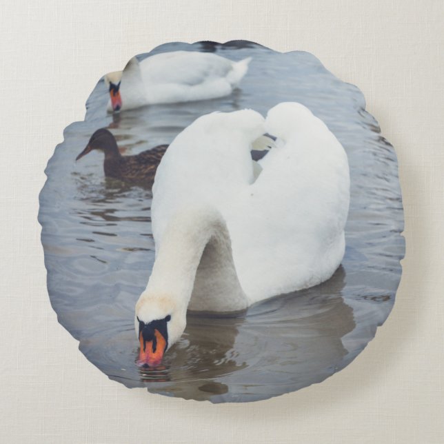 White Swan  Round Pillow (Front)