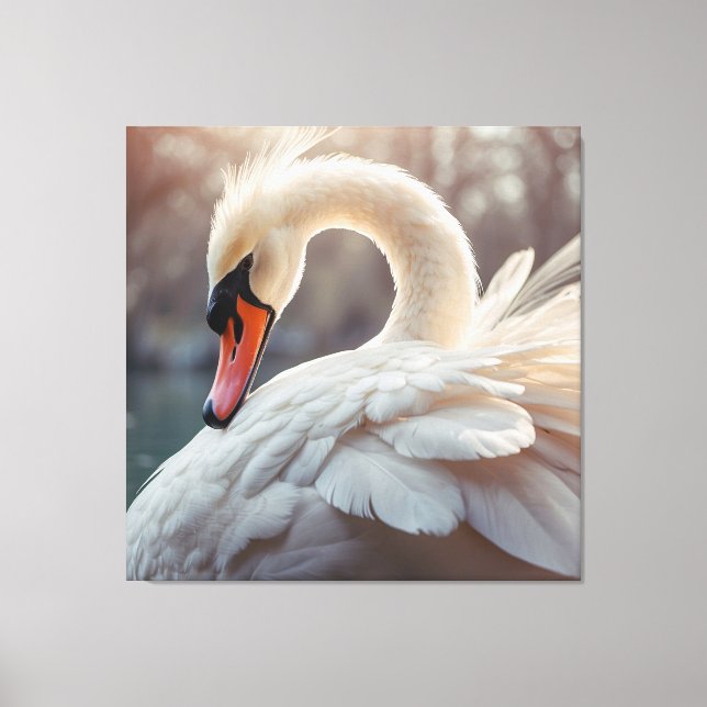 *~* White Swan SC1 Close Up Stretched Canvas Print (Front)