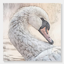 *~* White Swan Sketch Beautiful SC1