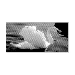 White Swan Stamp