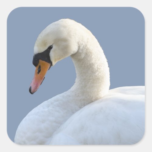 White Swan Stickers
