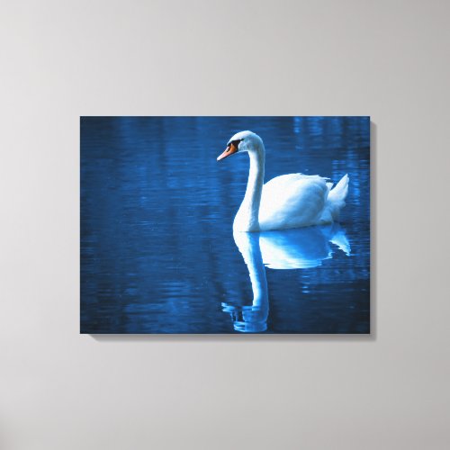 White Swan Swimming in a  Lake Canvas Print