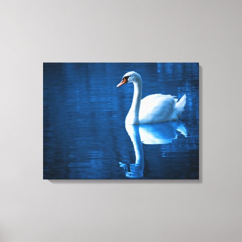 White Swan Swimming in a  Lake Canvas Print