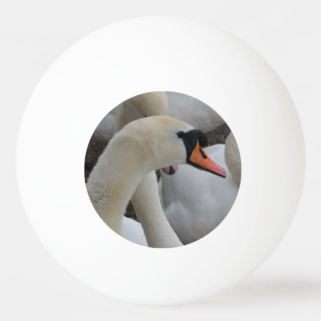 White Swan Three Star Ping Pong Ball (Front)