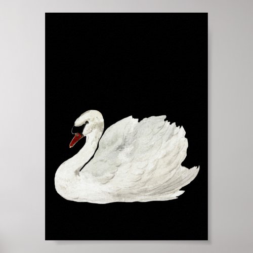 White Swan Vintage Art Poster