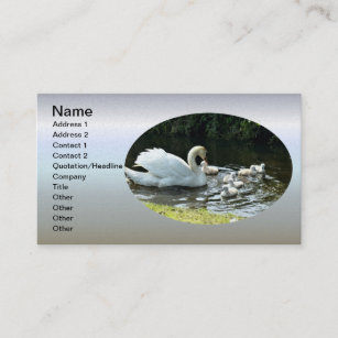 White Swan with Chicks Business Card