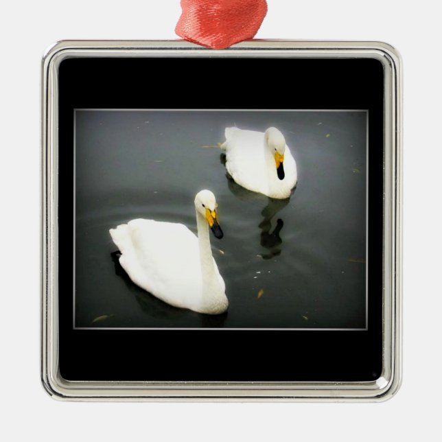 White Swans Black Water Metal Ornament (Front)