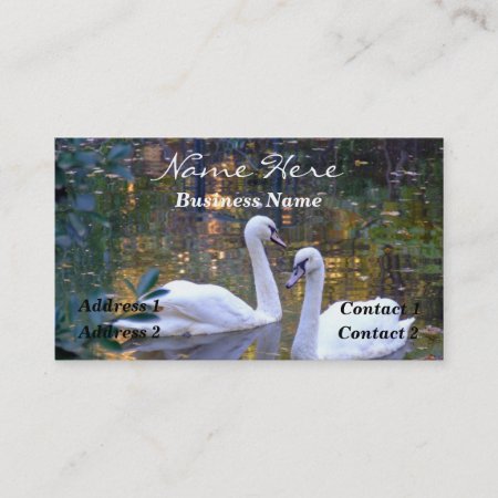 White Swans Business Card