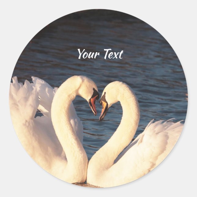 White Swans Classic Round Sticker (Front)