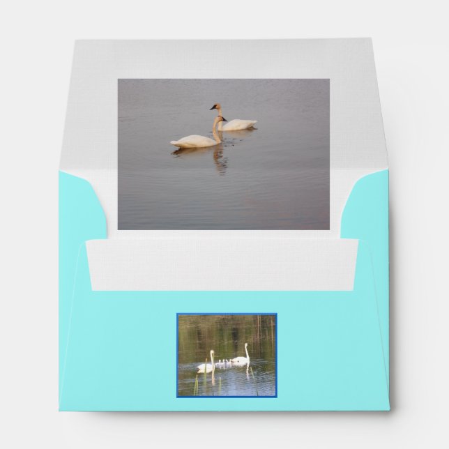 White Swans Envelope (Back (Bottom))