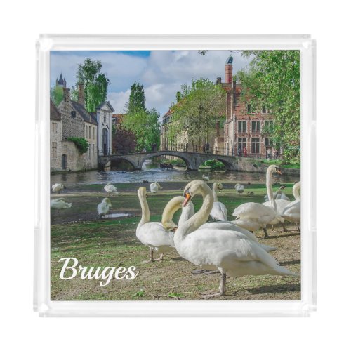 White swans in Bruges downtown Acrylic Tray