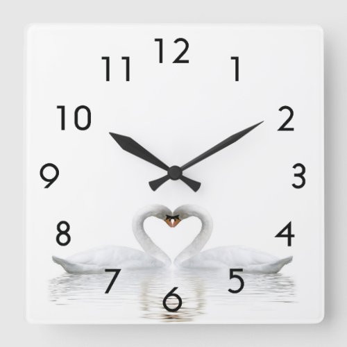 White swans in love square wall clock