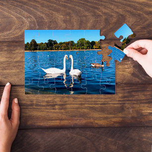 White swans in Round Pond Kensington Gardens Jigsaw Puzzle