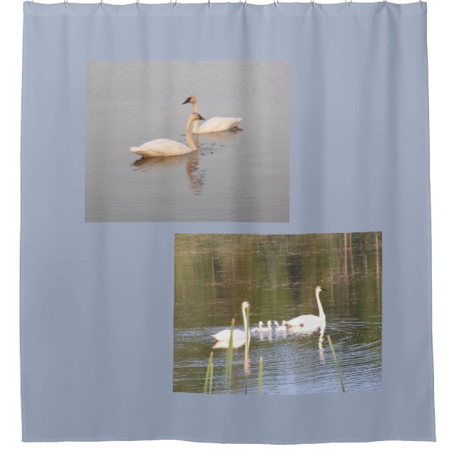 White Swans Shower Curtain (Front)