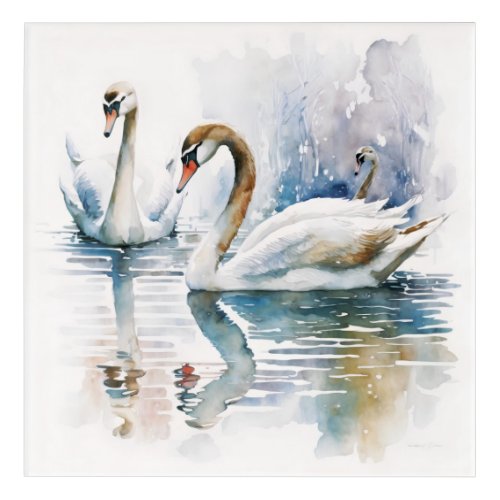 White Swans Swim On The Lake Watercolor Acrylic Print