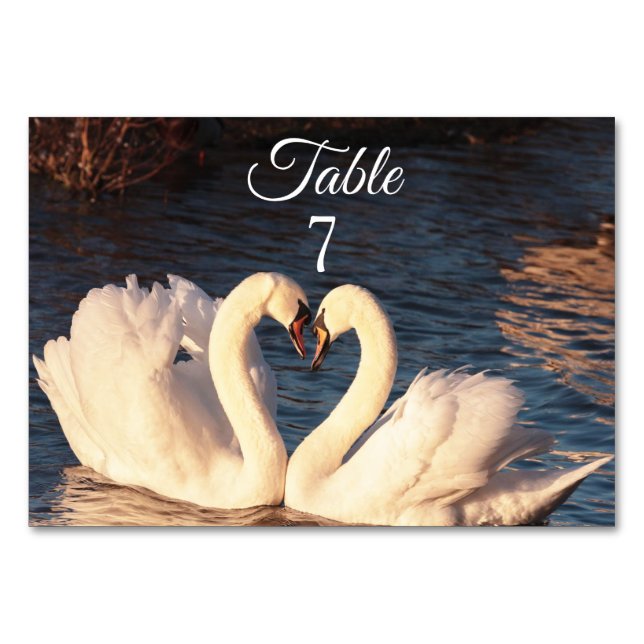 White Swans Wedding Table Number (Back)