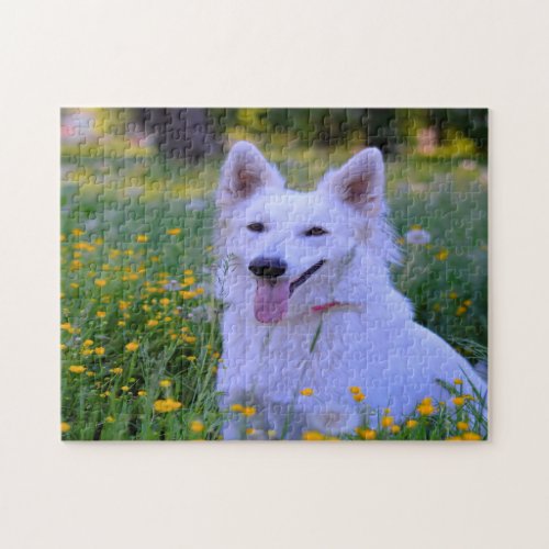 White Swiss Shepherd Dog Jigsaws Jigsaw Puzzle