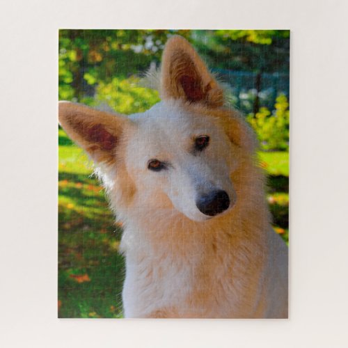 White Swiss Shepherd Dog Jigsaws Jigsaw Puzzle