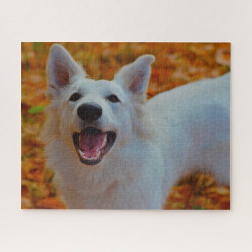 White Swiss Shepherd Dog Jigsaws Jigsaw Puzzle