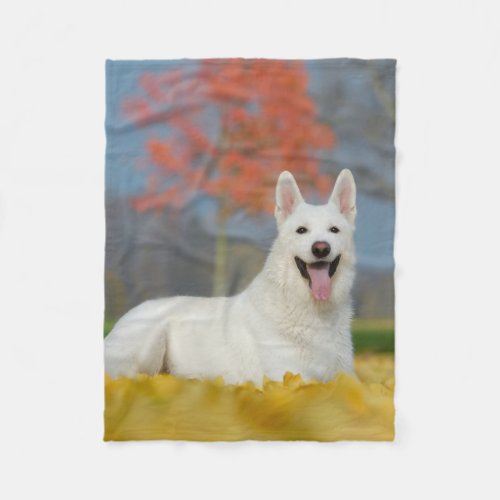 Fleece Blanket Fleece Blanket