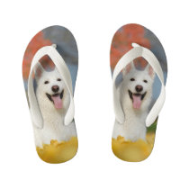 White Swiss Shepherd Dog Photo - Cute Furry Friend Kid's Flip Flops White Swiss Shepherd Dog Photo - Cute Furry Friend Kid's Flip Flops
