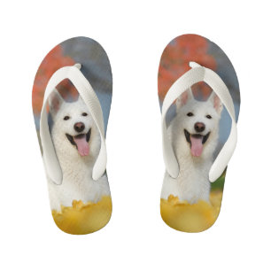 White Swiss Shepherd Dog Photo - Cute Furry Friend Kid's Flip Flops