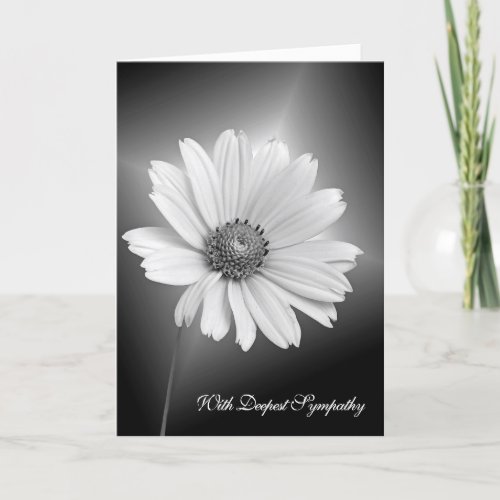 White Sympathy Daisy on Black Card