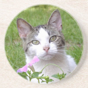 White Tabby Cat and Pink Petunia Drink Coaster