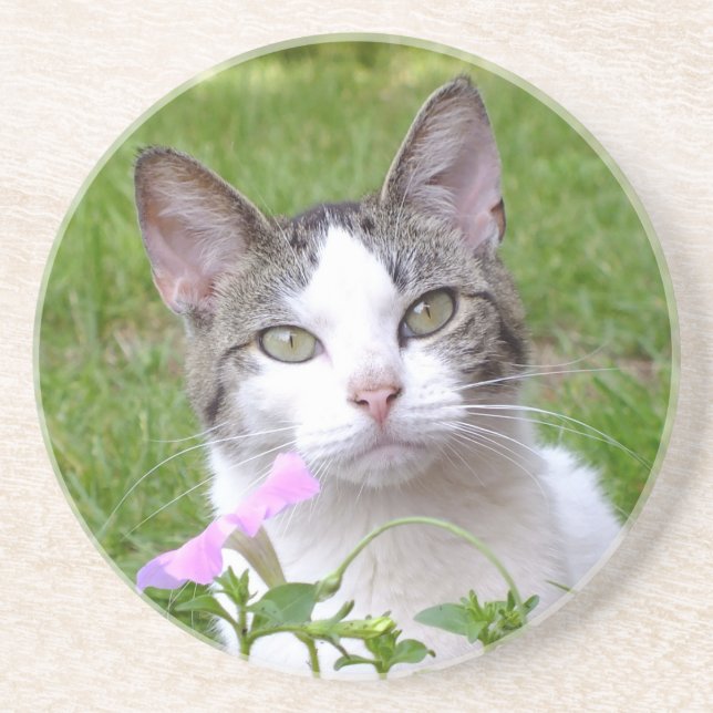 White Tabby Cat and Pink Petunia Drink Coaster (Front)