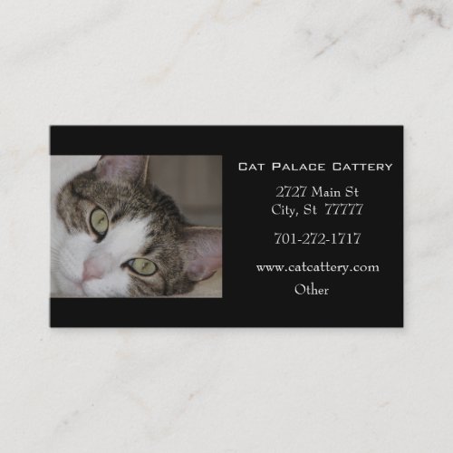 White Tabby Cat Business Card