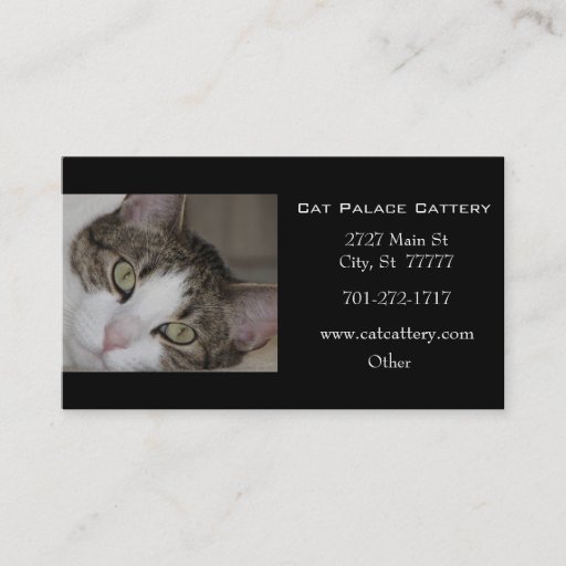 Customizable White Tabby Cat Business Card