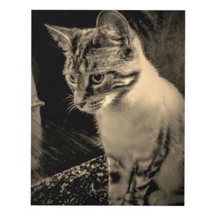 White Tabby Cat Panel Wall Art