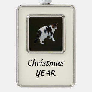 White Tabby With Dark Patches Christmas Ornament